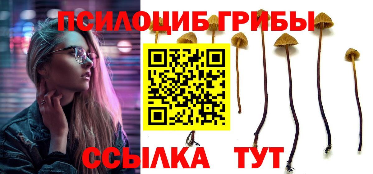 Псилоцибиновые грибы GOLDEN TEACHER Тулун